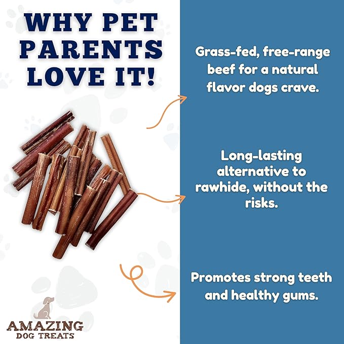 Amazing Dog Treats - 6 Inch Medium Size Bully Sticks (50 Count) - Bulk Bully Sticks for Dogs - No Hide Bully Stick Dog Bones