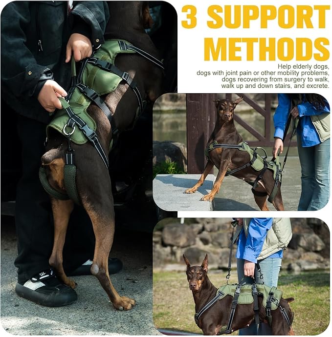 BINGPET Dog Lift Harness for Medium Dogs,Full Body Support Rehabilitation Dog Sling Carrier with Handles,Reflective Multifunctional Mobility Assistance Vest for Senior Pets Joint Injuries,Arthritis,M