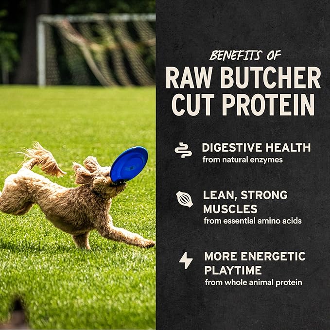 Vital Essentials Freeze Dried Dog Treats | Beef Bites, Single Protein | Premium Quality | Grain Free Training Treats for Dogs, 2.5 oz Bag