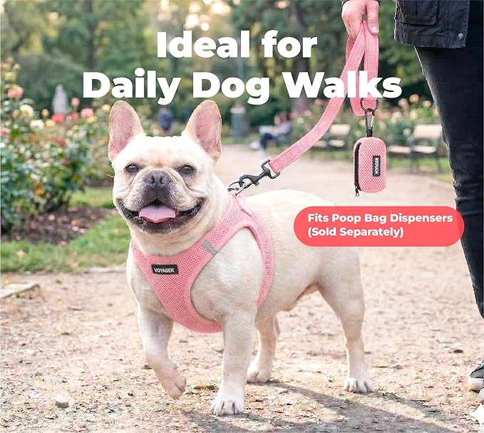 Best Pet Supplies Voyager Reflective Dog Leash or Collar with Neoprene Handle, for Small, Medium, and Large Breed Puppies, Cute and Heavy Duty for Walking, Running and Training - Pink (Leash), S