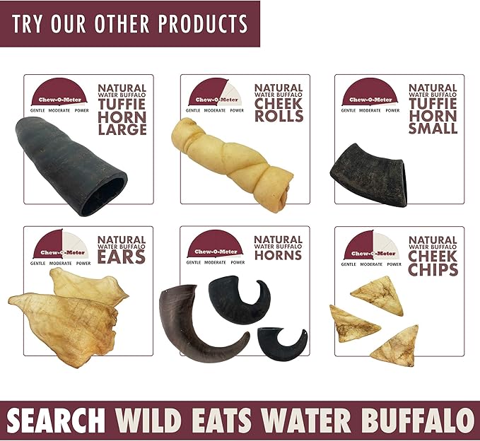 Wild Eats Water Buffalo Horn No Hide Dog Bones & Chews (All Natural Single Source Protein, Grain Free Treat, Long Lasting Dog Chews & Bones (2 Pack, Medium-Horn)
