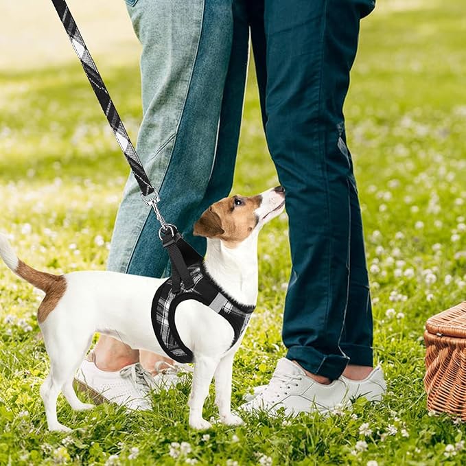 PUPTECK Adjustable Dog Harness Collar and Leash Set Step in No Pull Pet Harness for Small Medium Dogs Puppy and Cats Outdoor Walking Running, Soft Mesh Padded Reflective Vest Harnesses, Black XL