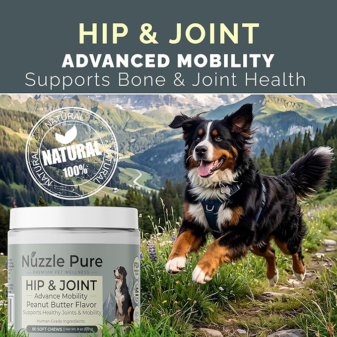 Nuzzle Pure Hip and Joint Supplement for Dogs