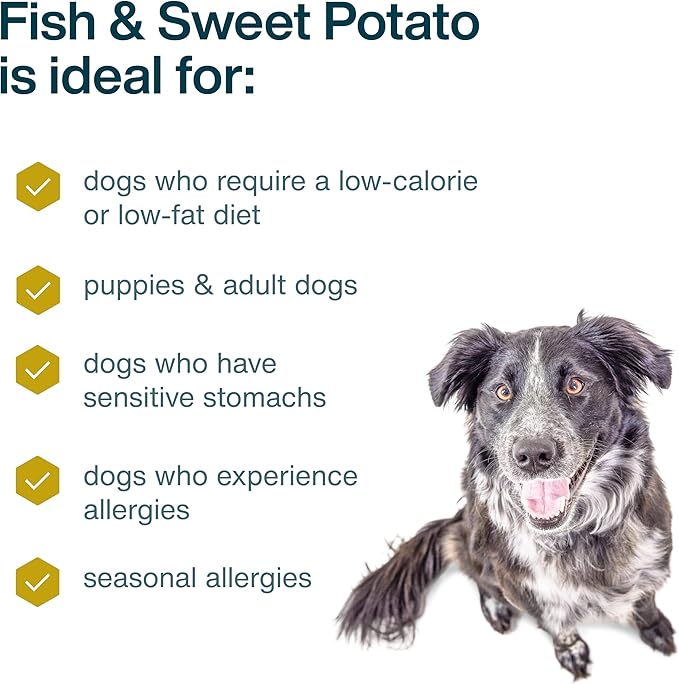 JustFoodForDogs Frozen Fresh Dog Food, Complete Meal or Dog Food Topper, Fish & Sweet Potato Human Grade Dog Food Recipe, 18 oz (Pack of 21)