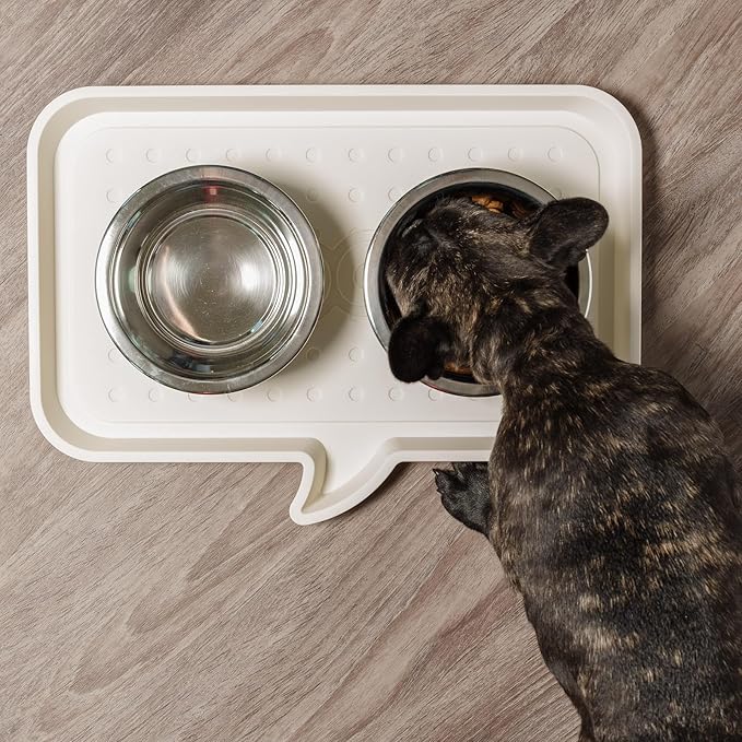 IRIS USA 16 oz Stainless Steel Cat Bowls for Food & Water, Durable, Easy to Clean, Perfect for Cats and Kittens, 5 Pack
