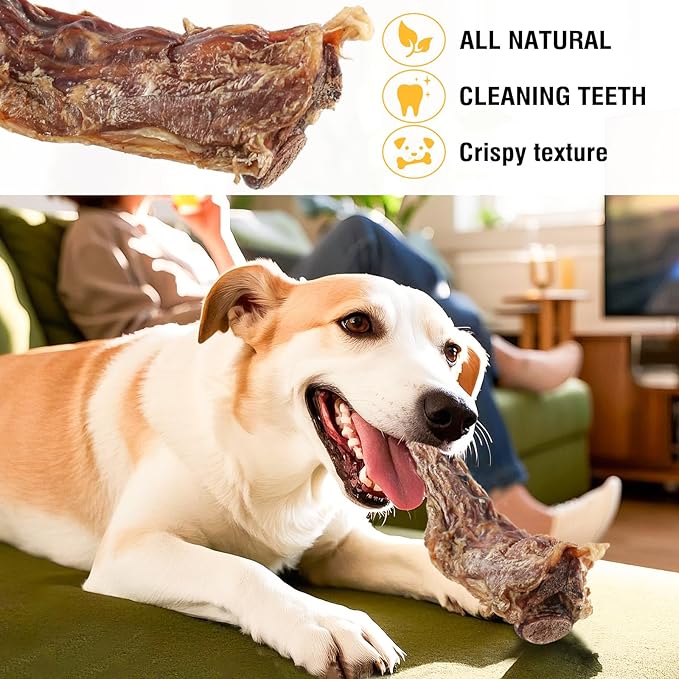 Grass-Fed Beef Tail Bones for Dogs – Durable Chewing Treats, No Additives or Fillers, Supports Teeth & Gum Health,Single Ingredient, Rawhide-Free & Digestible for All Dogs（3 PCS）