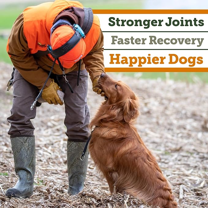 DogBone Krillagen Chews for Dogs – 90 Count Supplement - Type 2 Collagen for Hip & Joint Support – Krill Powder Omega 3 DHA + EPA for Heart, Skin, Coat - Active, Large Breed, & Senior Canine Health
