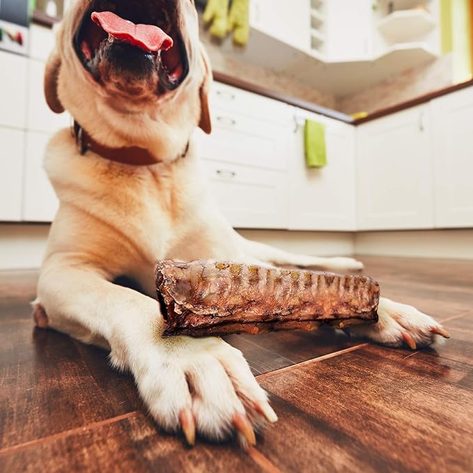 Dog Chews – Beef Trachea Dog Treat Chew Made in USA. Grass Fed Farm-Raised American Beef. Glucosamine Rich for Healthy Joints. All Natural Dental Chew (7" 16 OZ)