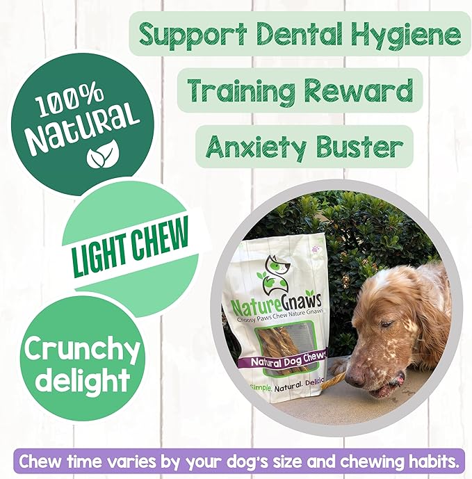 Nature Gnaws Tripe Twists for Dogs 4-5" (10 Count) - Crunchy Grain Free Reward Snack for Small, Medium & Large Breeds - Natural Beef Dog Chew Treats - Rawhide Free