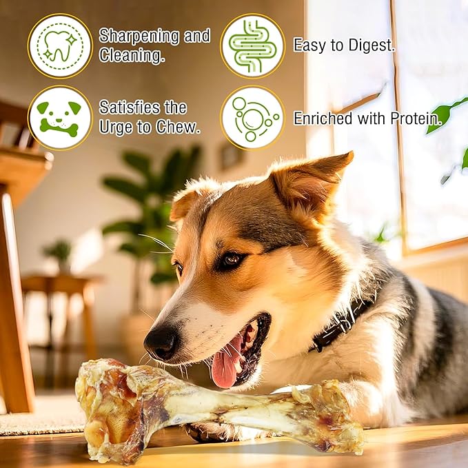 Giant Dog Bone Stick，Dental Health Dog Treat - Natural, Bite-Resistant & Teeth-Cleaning, Chew Toy for Medium and Large Dogs, 100% Grass-Fed Beef Bone for Canines (2 Count)