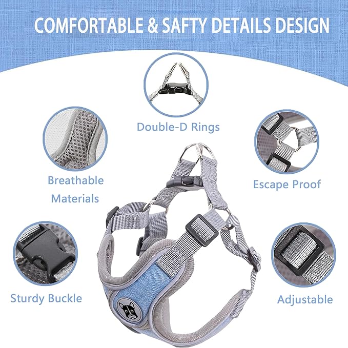 Large Dog Harness and Leash Set,No Pull Adjustable Step in Soft Mesh Vest Harness,Easy Walk Reflective Pet Harness with Padded Handle for Walking Training Small Medium Large Dogs and Cats (Blue, L)