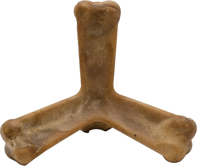 N-Bone Quado Interactive Chew, Ginormous Peanut Flavor (6 Pack), Large