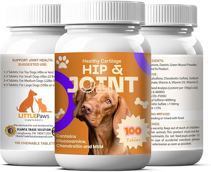 Hip & Joint Chewable Tablets for Dogs – Supports Joint Health, Mobility & Flexibility for Senior & Active Dogs - 1 Bottle 100 Chewable Tablets