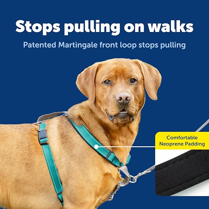 PetSafe 3 in 1 No-Pull Dog Harness for Large Dogs - Walk, Train or Travel - Helps Pets from Pulling on Walks - Seatbelt Loop Doubles as Quick Access Handle - Reflective- Large, Teal