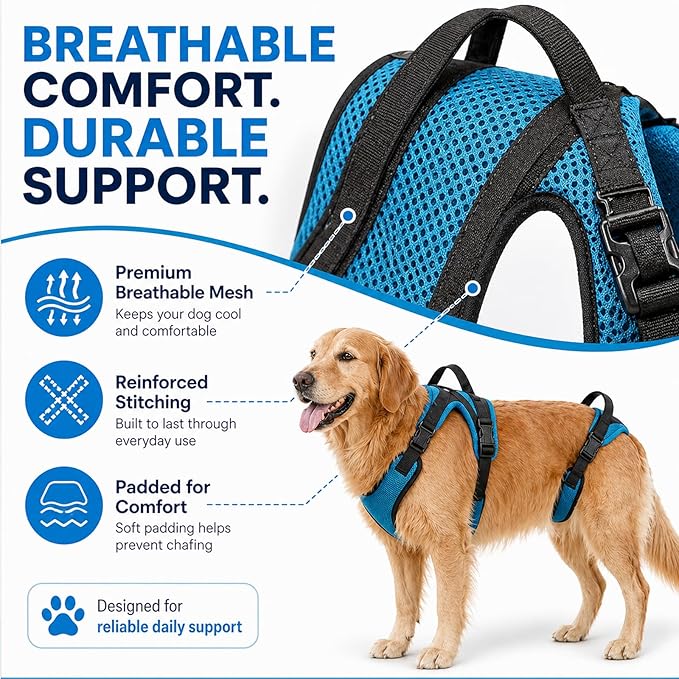 Mobility Harness, Pawlift Dog Full Body Harness, 2-in-1 Full Body Support Aid & Sling with Adjustable Straps Machine-Washable with Breathable Mesh Design (M)