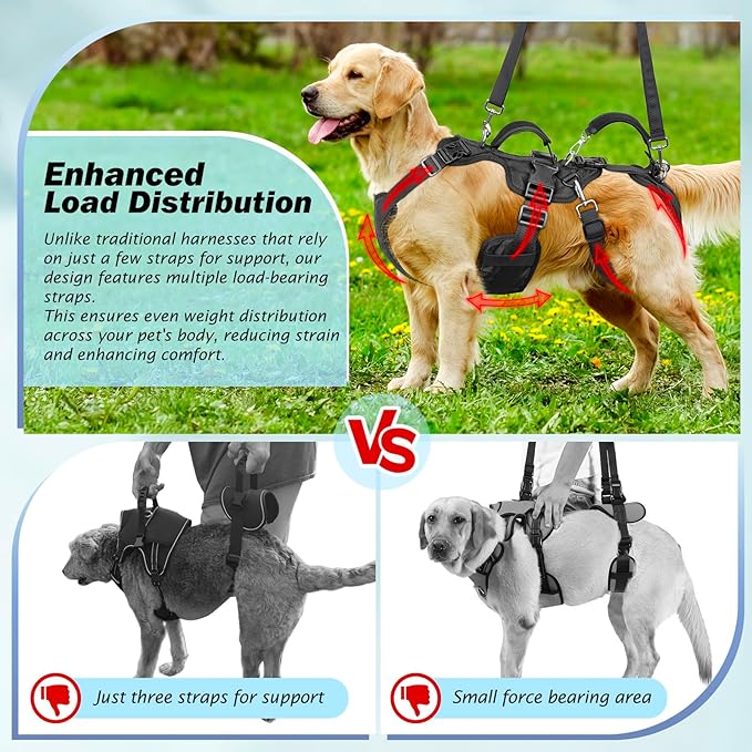 Dog Lift Harness for Large/Medium Dogs, Dog Support & Recovery Sling for Full-Body & Hind/Front Leg – Pee-Able Design – All-in-One Ideal Assistance for Senior, Disabled, Arthritic & ACL Canines (L)