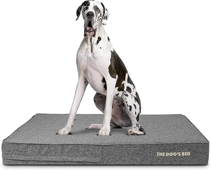 The Dog’s Bed Orthopedic Memory Foam Dog Bed for XXL Dogs, Waterproof Washable Cover, Anti-Slip Base, Calming Surface – CertiPUR-Certified Foam, Grey Linen, 6 Inch Thick