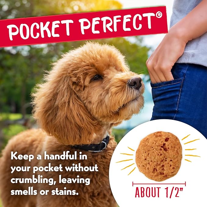 Charlee Bear Crunchy Dog Training Treats, Low Calorie (3 Kcal), Grain Free Natural Mini Dog Treats for Puppies, Small, Medium & Large Dogs, USA Made, Healthy Peanut Butter-Banana Flavor 8oz (4-Pack)