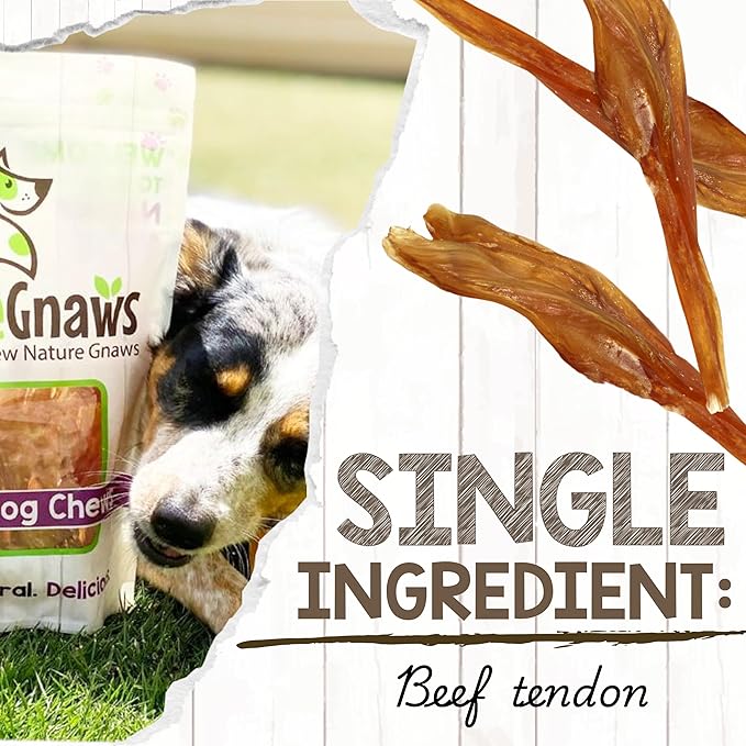 Nature Gnaws Beef Tendons for Dogs 7-11" (12 Count) - Long Lasting for Aggressive Chewers & Large Dogs - Natural Beef Jerky Dog Chew Bones - Rawhide Free