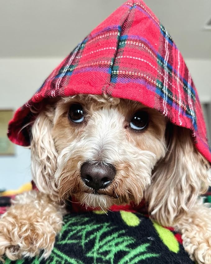 Fitwarm Tartan Plaid Dog Hoodie, Dog Clothes for Small Dogs Girl Boy, Pet Sweatshirt with Hood, Cat Winter Outfit, Red, Green, Small