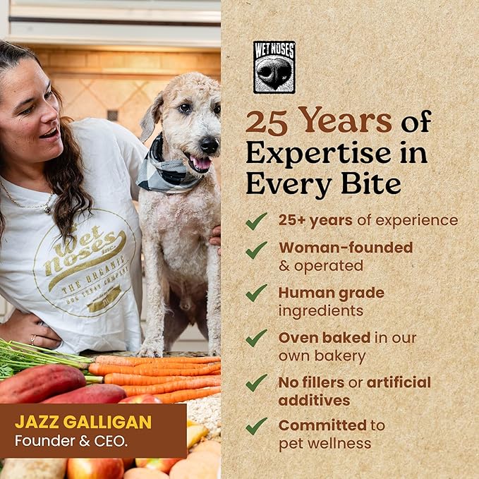 Wet Noses Moments Non-GMO Cheezy Pretzel Crunchy Dog Treats - 14oz | No Corn, Wheat, Soy or Peas, Made with 5 Simple Ingredients