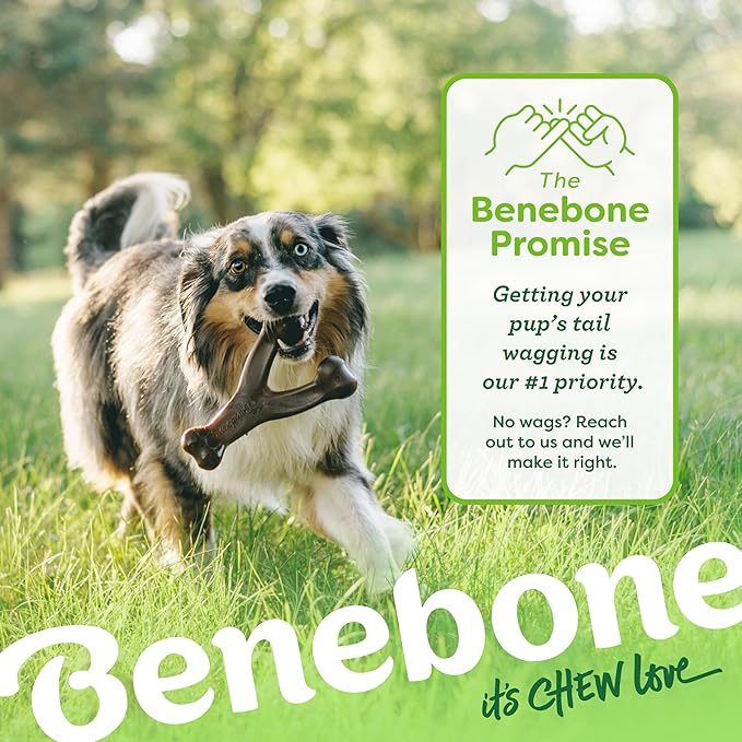 Benebone 2-Pack Wishbone/Dental Durable Dog Chew Toys, Real Bacon, Made in USA, Large