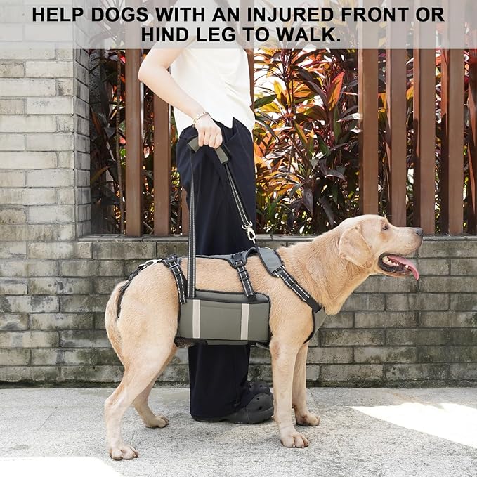 COODEO Mobility Dog Lift Harness, Emergency Carry Sling, Pet Rear Leg Support Rehabilitation Lifts Vest, Dog Carrier for Senior Dogs Joint Injuries, Arthritis (Military Green, L)