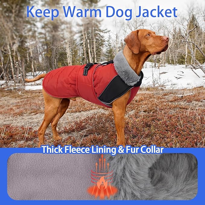 MIGOHI Cozy Small Dog Coat - Reflective Dog Coat for Small Dogs,Fleece Winter Coats Jacket for Dogs with Leash Hole,Snowproof Thick Puppy Clothes,Pomeranian,Chihuahua,XS,RedBlack