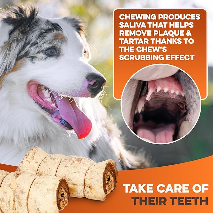 Premium Beef Cheek Rolls for Dogs 10-12" - (3-Pack), Peanut Butter Flavored Long Lasting, Safe & Natural Rawhide Alternative Chews, Ideal for Large Dogs & Aggressive Chewers, Supports Dental Health