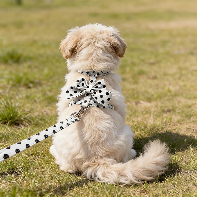 Cat Harness and Leash Set, Sweet Bow Kitten Collar, Escape Proof Extra Small Dog Harness, Cute Polka Dot Print Puppy Collar, Dog Leash for Boy Girl Small Dogs Kittens Outdoor Walking (White, S)
