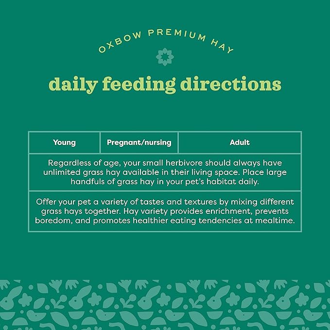 Oxbow Foraging Hay Blends Western Timothy & Teff, Hay for Rabbits, Guinea Pigs, Chinchillas, Small Pets, Supports Healthy Digestion, Premium High-Fiber, Small Pet Supplies, 40 oz Bag, Rabbit Food