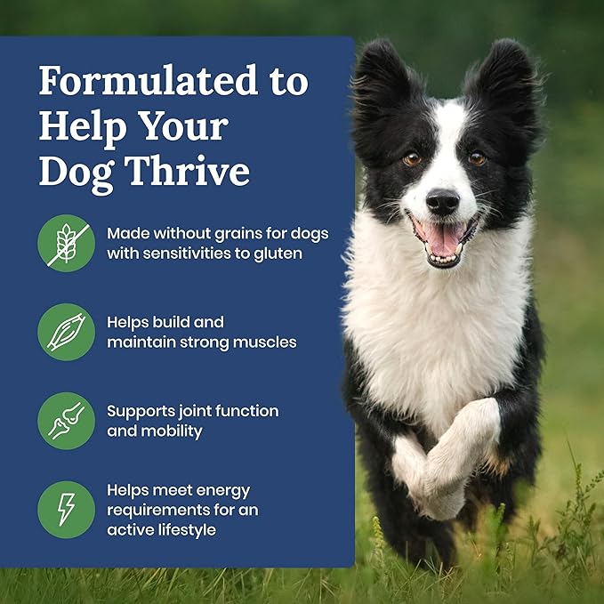 Blue Buffalo Life Protection Formula Natural Grain Free Adult Dry Dog Food, with Lamb and Potatoes, 11 lb. Bag