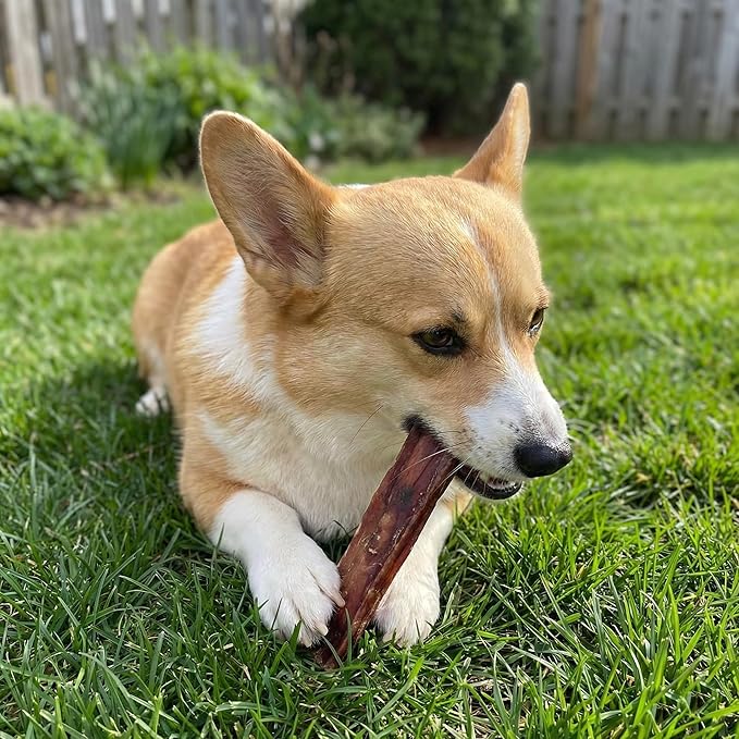 Fieldcrest Farms Nothin to Hide Flip Chips Dog Chews - Natural Rawhide Alternative Treats for Dogs, Collagen Based Snack for Moderate Chewers Up to 35lbs, Beef Bully Flavor -1 Pack (8 Chips)