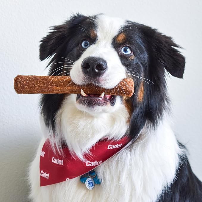 Cadet Chewalicious Chewy 'N Savory Rolls with Real Duck, Rawhide-Free Healthy Dog Chews, Limited-Ingredient Dog Treats & Long-Lasting Chew Treats for Dogs, Duck Flavor, 2 Pack