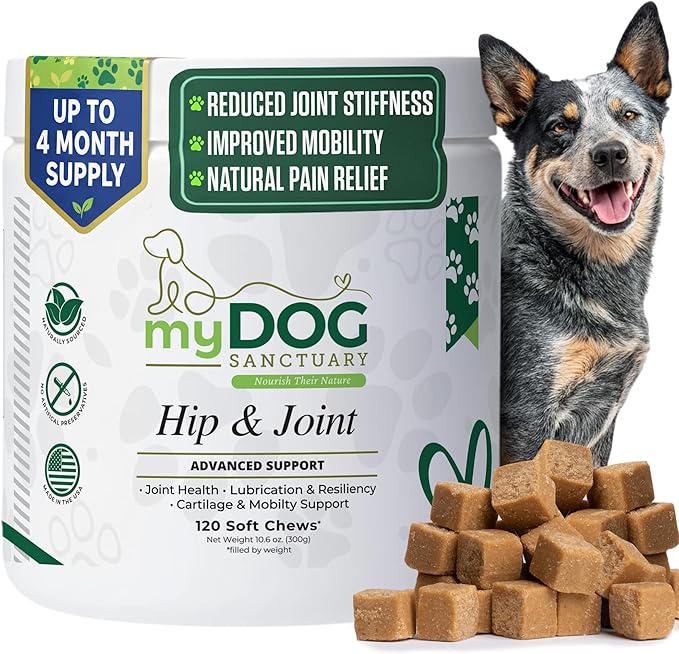 Hip & Joint Supplement for Dogs – 120 Soft Chews, Bacon Flavor | Glucosamine, Chondroitin & MSM for Mobility, Flexibility & Cartilage Support | for All Breeds