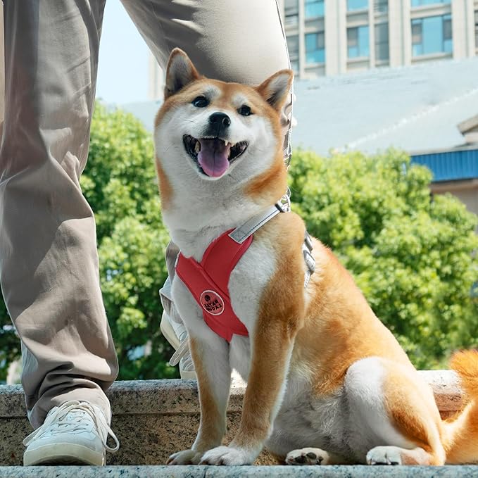 Patas Lague Dog Harness with Leash Set Adjustable Soft Padded Step-in Dog Vest No Choke No Pull Reflective for Small Medium Pets with Poop Bags and Dispenser, Solid and No-chew, Red M