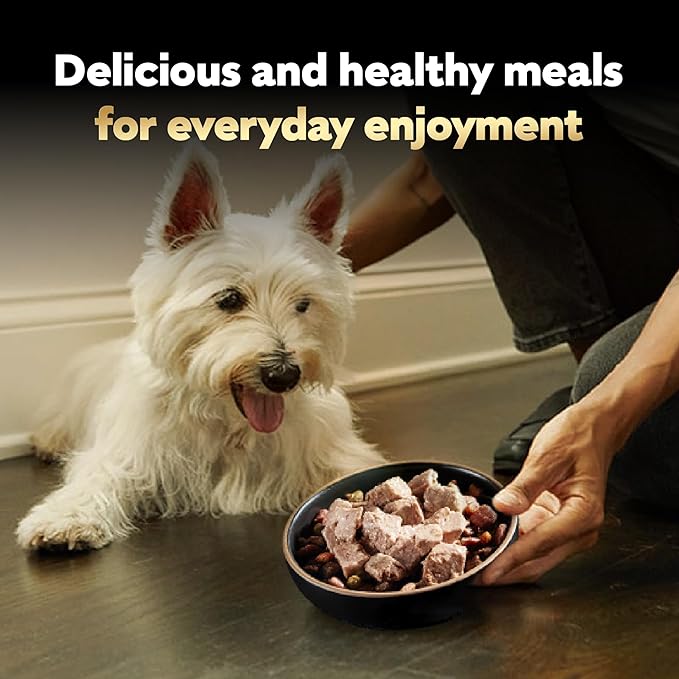 Cesar Classic Loaf in Sauce Adult Wet Dog Food Chicken & Veal, Wet Food for Dogs, 3.5 oz Easy Peel Trays, 24 Count