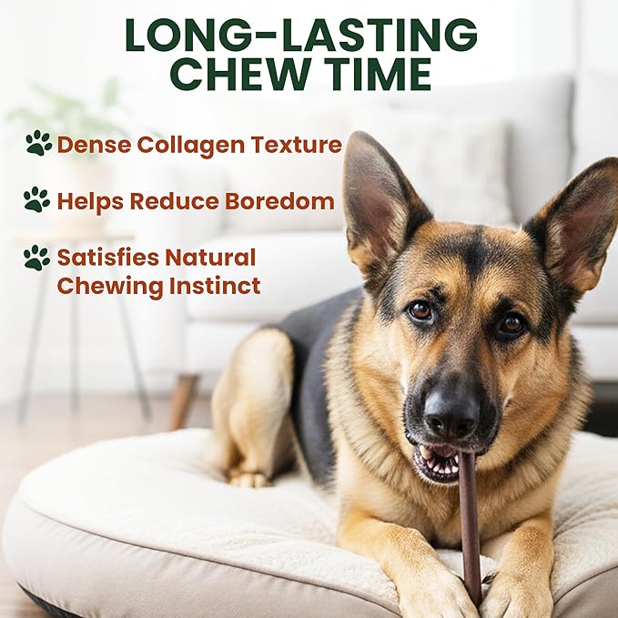 10 Pack 6 Inch Beef Collagen Sticks Chewable for Dogs – Rawhide Alternative Chews, Single Ingredient, Long Lasting Dental Treats, High Protein Natural Dog Chews for Small to Medium Dogs