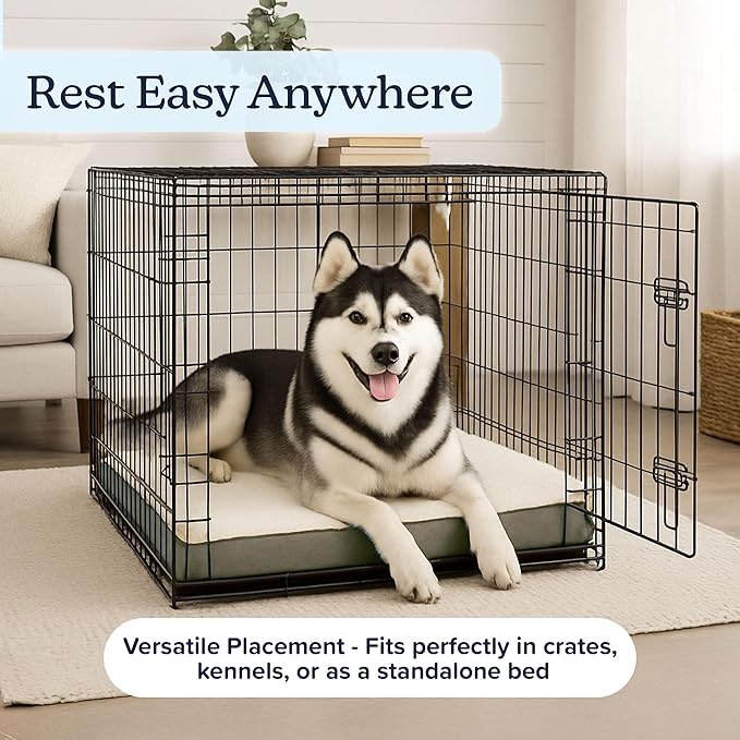 Orthopedic Dog Bed - 2-Layer 44x35-Inch Memory Foam Pet Mattress with Machine-Washable Sherpa Cover for Large Dogs up to 100lbs by PETMAKER (Gray)