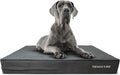 The Dog’s Bed Orthopedic Memory Foam Dog Bed for XXL Dogs, Waterproof Washable Cover, Anti-Slip Base, Calming Surface – CertiPUR-Certified Foam, Grey Plush, 6 Inch Thick