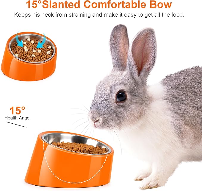 Tilted Dog Bowl Non-Slip & Non-Spill Pet Feeder with Elevated Detachable Melamine Stand, Easy to Get Food Dog Dish, S/100ml Orange