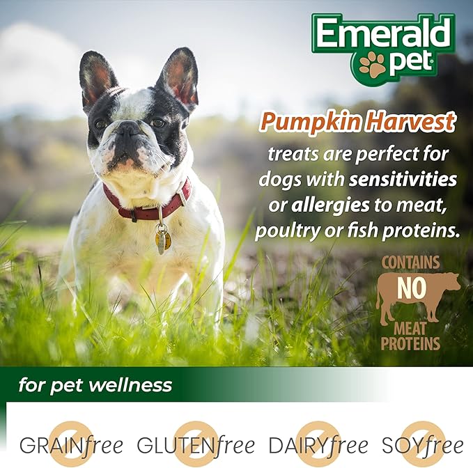 Emerald Pet Pumpkin Harvest Dog Treats - Low-Fat Chewy Natural Dog Treats with Pumpkin for Digestive Health - Meat Free, Wheat Free - Sweet Potato, 6 oz