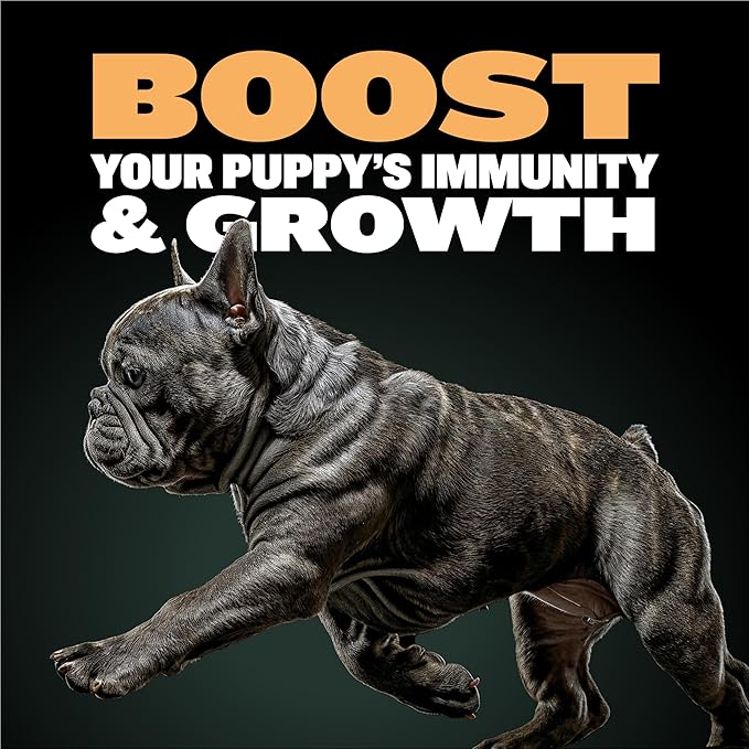 Bully Max Wet Puppy Food - Instant Fresh Dehydrated High Protein Soft Dog Food with Chicken - Healthy Growth for Small & Large Breed Puppies - 2 Dry Dog Food Pounds (Makes 5.5 lbs. of Wet Food)