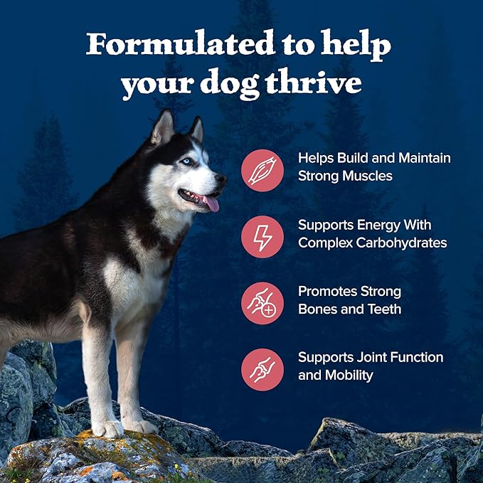 Blue Buffalo Wilderness Adult High-Protein Dry Dog Food Natural Salmon with Wholesome Grains