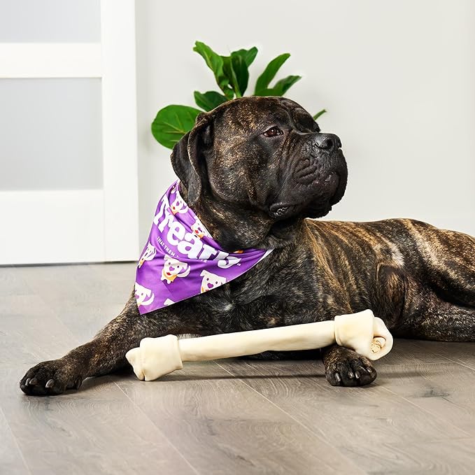 American Sourced Beefhide Bones 15-17" Dog Chew Treats - Natural Flavor, 1 Count/1 Pack