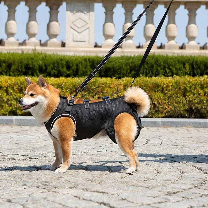 Adjustable Dog Harness for Elderly Pet with Padded Belt and Breathable Design Disabled Lift Slings Rehabilitation Harness