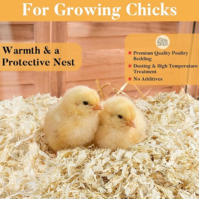 31OZ Sukh Chicken coop Bedding - Aspen shavings Animal Bedding as Chicken Supplies for Chicken House Bedding winterizing Nesting for Small pet Guinea Pig Rabbit Chinchilla Bird Gerbil Odor Control