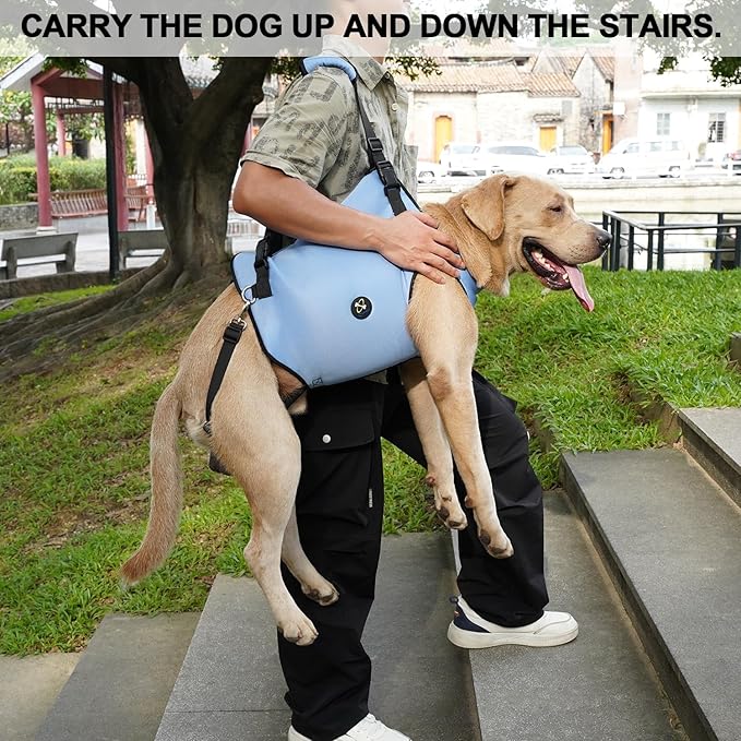 Coodeo Dog Lift Harness, Pet Support & Rehabilitation Sling Lift Adjustable Padded Breathable Straps for Old, Disabled, Joint Injuries, Arthritis, Loss of Stability Dogs Walk (Blue, XL)