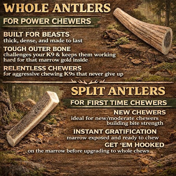 Elk Antlers for Dogs – Jumbo Split, Irresistible Chew, USA Sourced, Naturally Shed & Ethically Harvested.