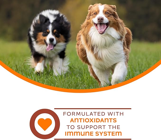 Fromm Family Nutritionals Immunity Functional Dog Treats - Premium Dog Treats for Immune Support - Contains Cranberry, Blueberry, Turmeric, Cinnamon, Vitamin C & Vitamin E - 6 oz Bag